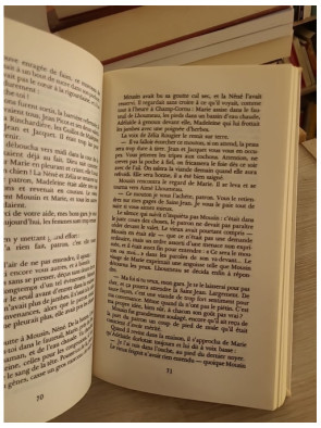 La fourche à loup de Marie Therville - Roman historique