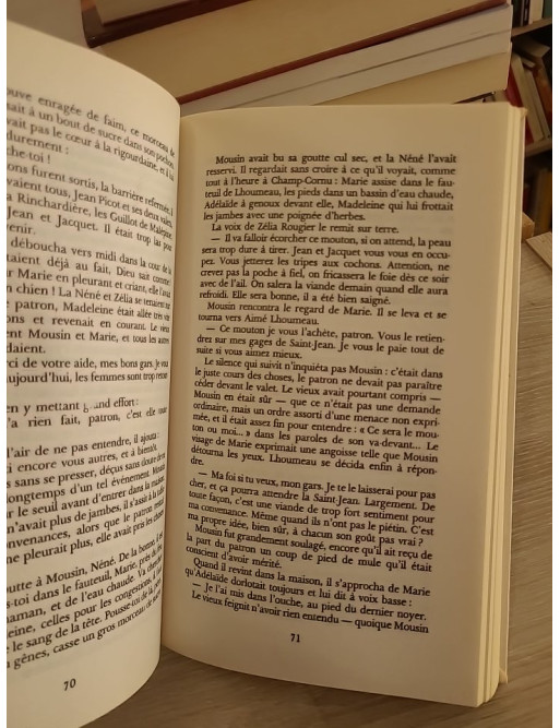 La fourche à loup de Marie Therville - Roman historique