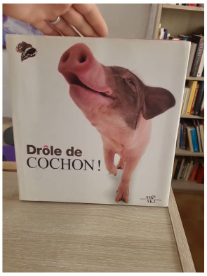 Drôle de Cochon - Livre illustré sur les cochons (Animaux en Série)