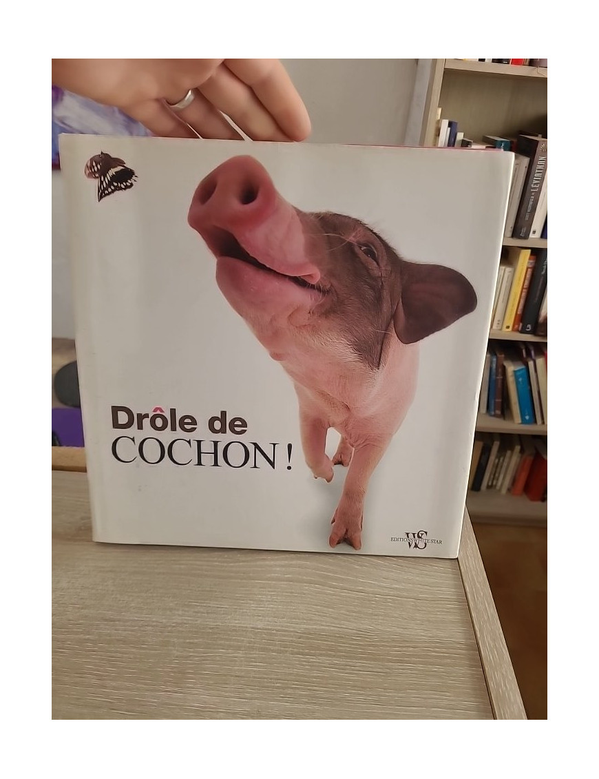 Drôle de Cochon - Livre illustré sur les cochons (Animaux en Série)