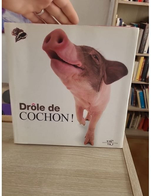 Drôle de Cochon - Livre illustré sur les cochons (Animaux en Série)