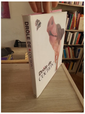 Drôle de Cochon - Livre illustré sur les cochons (Animaux en Série)