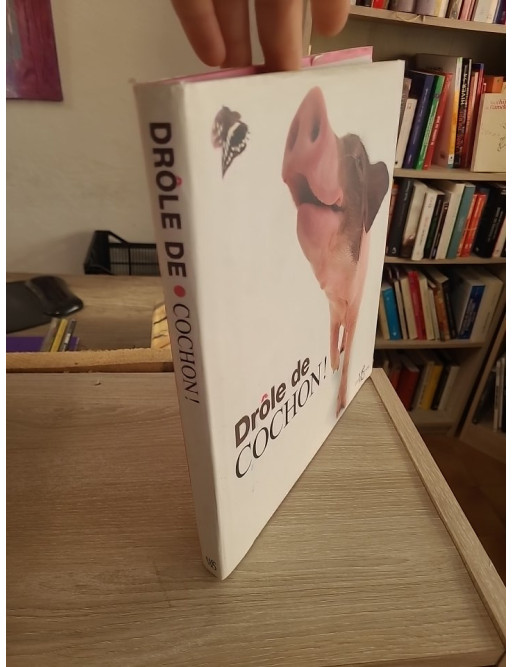 Drôle de Cochon - Livre illustré sur les cochons (Animaux en Série)