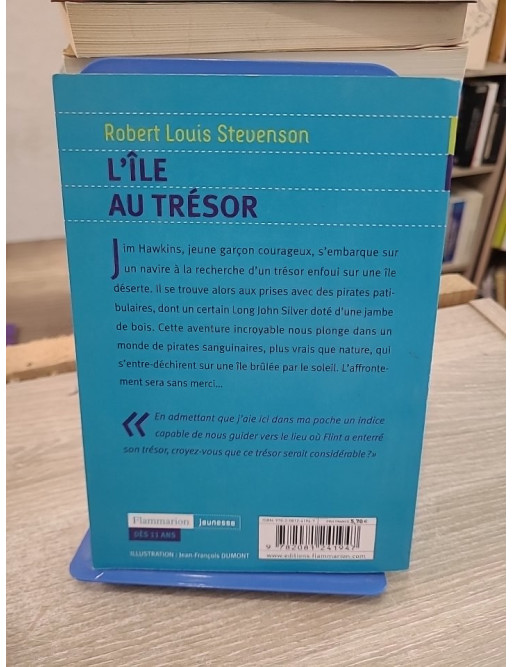 L'Île au trésor - Ancienne édition illustrée Flammarion Jeunesse