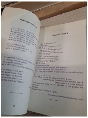 Poésie 1 - Écrit sur un mur, Vert Paradis et autres textes poétiques