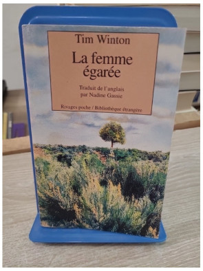 La Femme égarée - Roman poignant entre quête et disparition en Europe