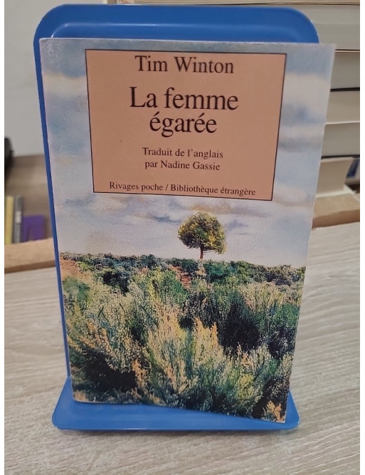 La Femme égarée - Roman poignant entre quête et disparition en Europe