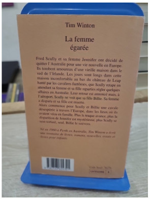 La Femme égarée - Roman poignant entre quête et disparition en Europe