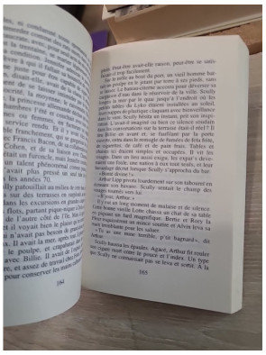 La Femme égarée - Roman poignant entre quête et disparition en Europe