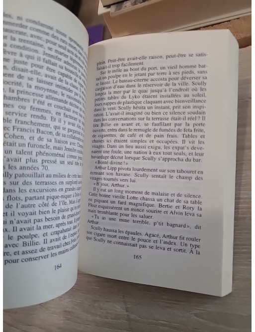 La Femme égarée - Roman poignant entre quête et disparition en Europe