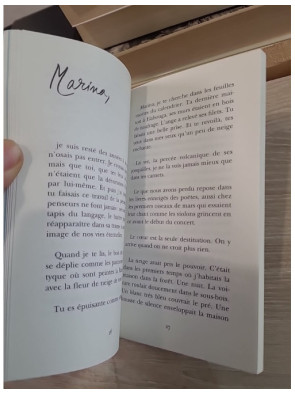 Un bruit de balançoire - Méditations poétiques et fragments sensibles