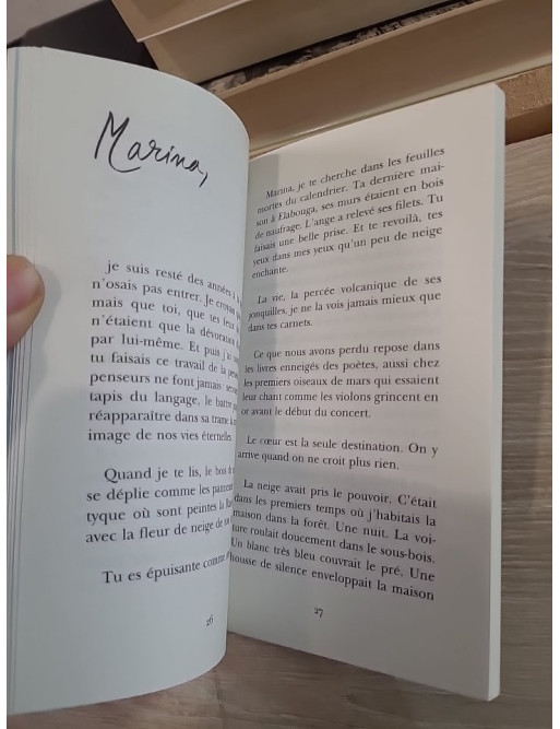 Un bruit de balançoire - Méditations poétiques et fragments sensibles