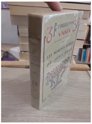 Les Moments perdus de John Shag - Roman littéraire français du XXe siècle