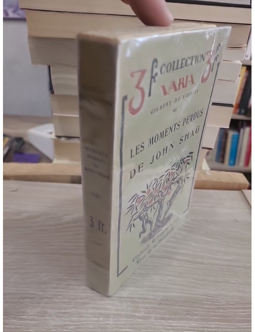 Les Moments perdus de John Shag - Roman littéraire français du XXe siècle