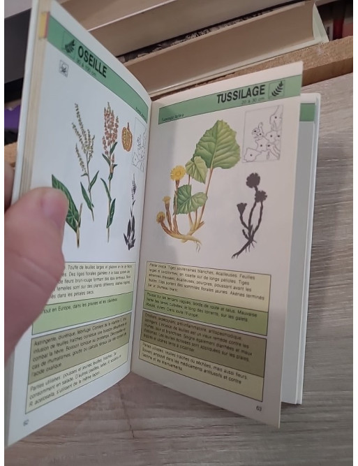 Plantes médicinales - Guide pratique d'identification et d'utilisation