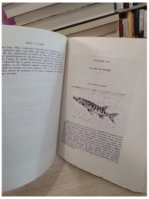 Pêche à la ligne - Traité classique de l'art de la pêche