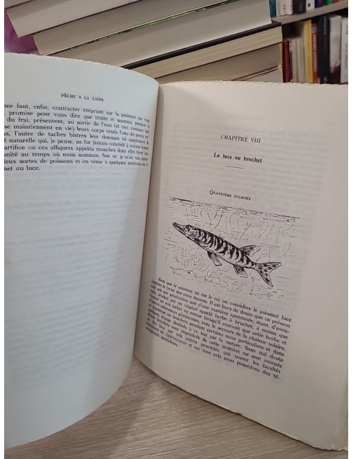 Pêche à la ligne - Traité classique de l'art de la pêche