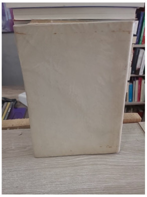 Fleur de grâce - Roman illustré de la vie et des sentiments