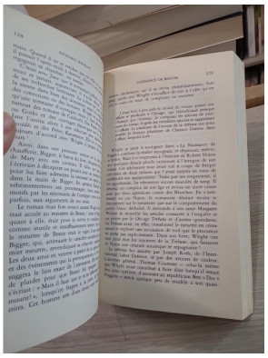 Richard Wright : La quête inachevée, biographie