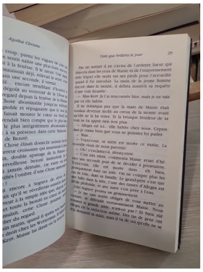 Tant que brillera le jour : nouvelles policières