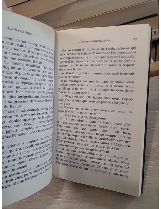 Tant que brillera le jour : nouvelles policières