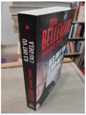 Ils ont vu l'au-delà : Soixante histoires aux frontières du réel