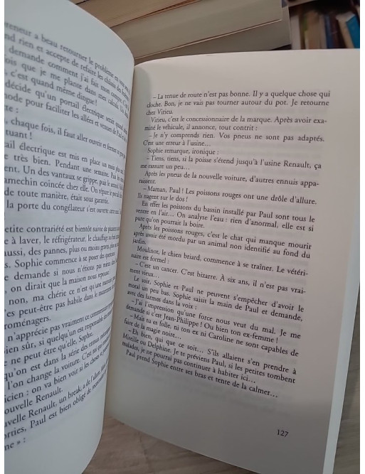 Ils ont vu l'au-delà : Soixante histoires aux frontières du réel