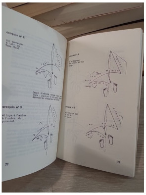 Les Plans d'expression : Schéma de psychophonie
