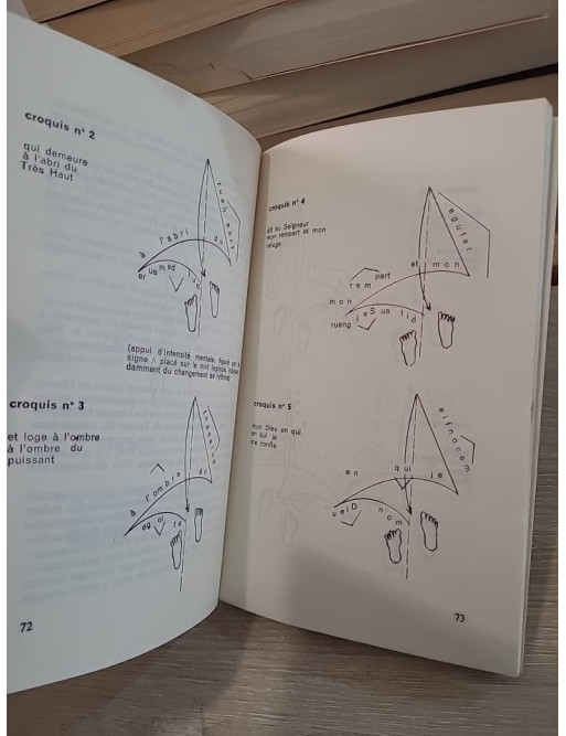 Les Plans d'expression : Schéma de psychophonie