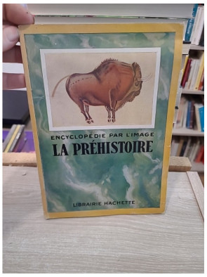 La préhistoire