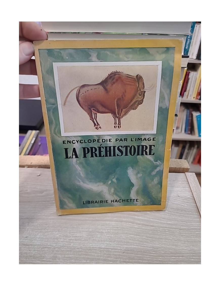 La préhistoire