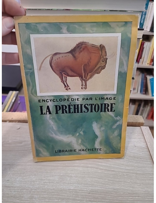 La préhistoire