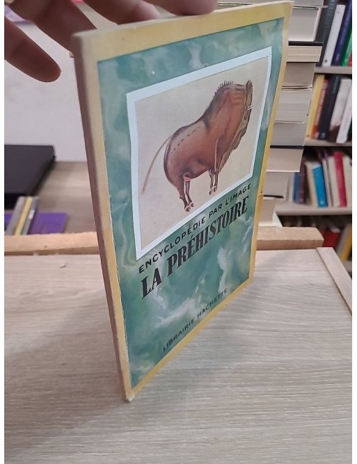 La préhistoire