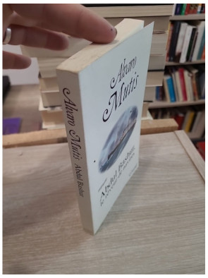 Abdul Bashur le rêveur de navires