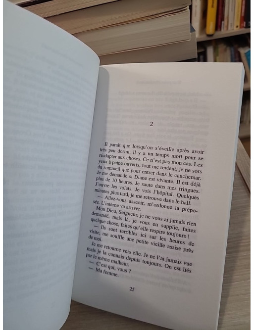 Tout pour être heureux : Un destin fracassé