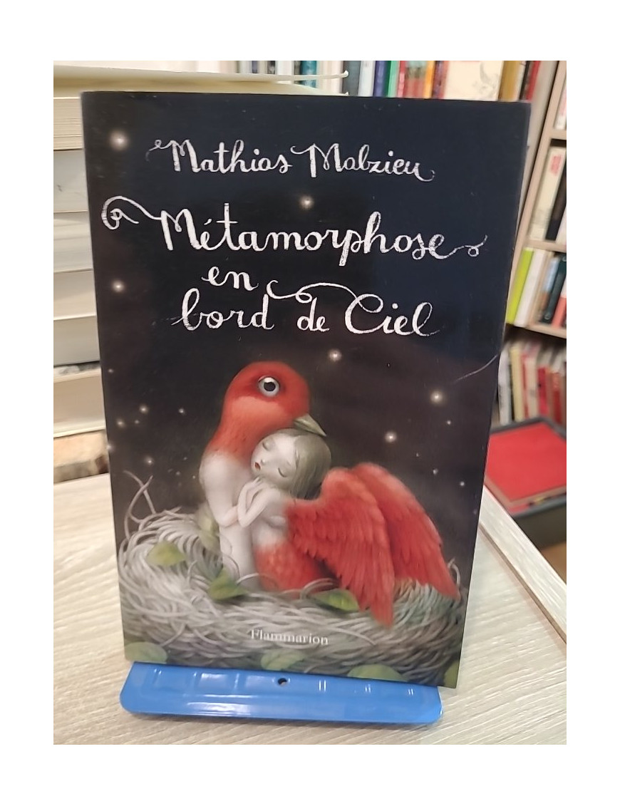 Métamorphose en bord de ciel - Édition de luxe