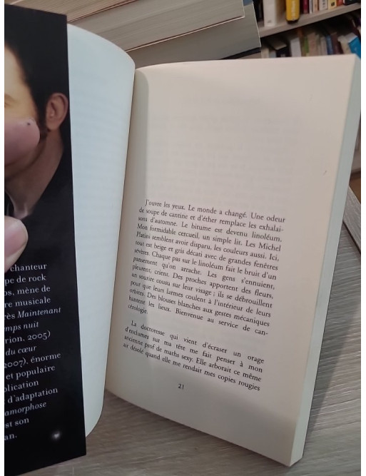 Métamorphose en bord de ciel - Édition de luxe